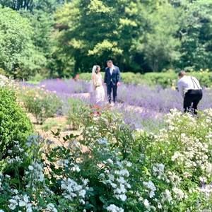 Meet your Posher, Peter